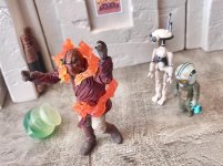 IMG_7941.jpeg