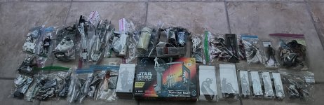 IMG_3039.jpeg