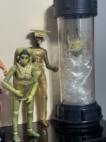 IMG_1465.jpeg
